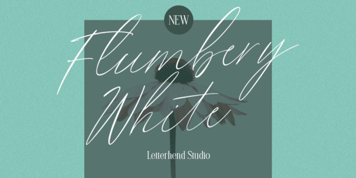 Flumbery White font preview