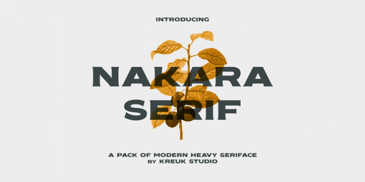 Nakara font preview