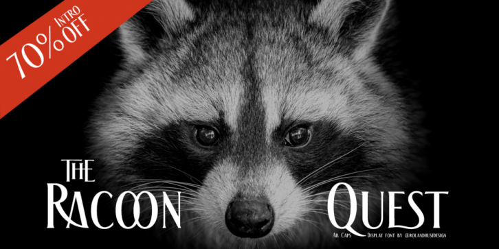 The Racoon Quest font preview