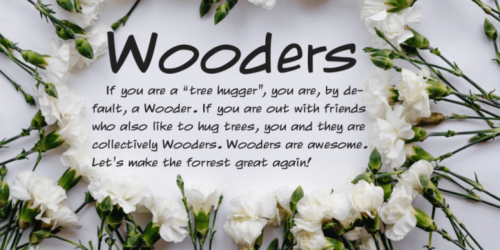 Wooders font preview
