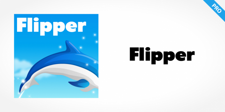 Flipper Pro font preview