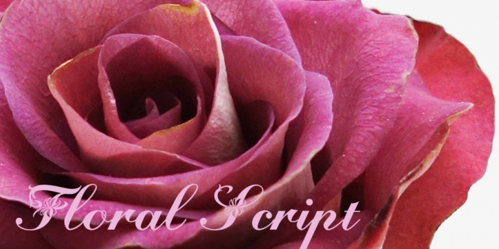 Floralscript font preview