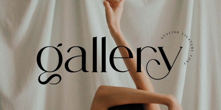 Gallery Serif font preview