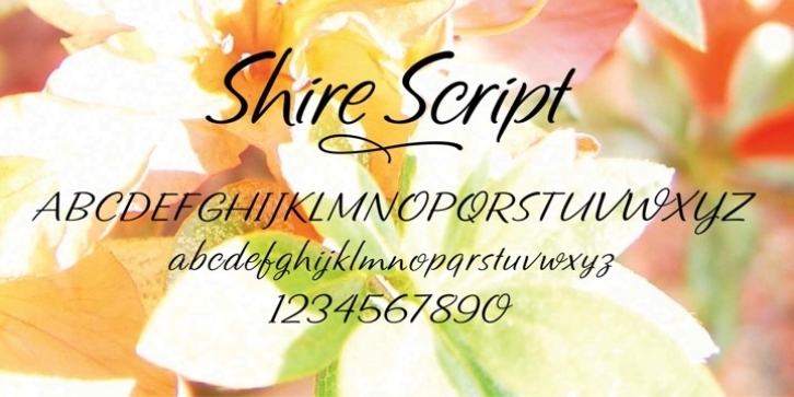 Shire Script font preview