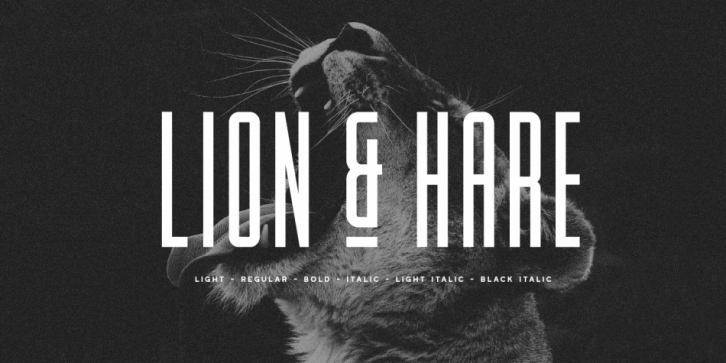 Lion & Hare font preview