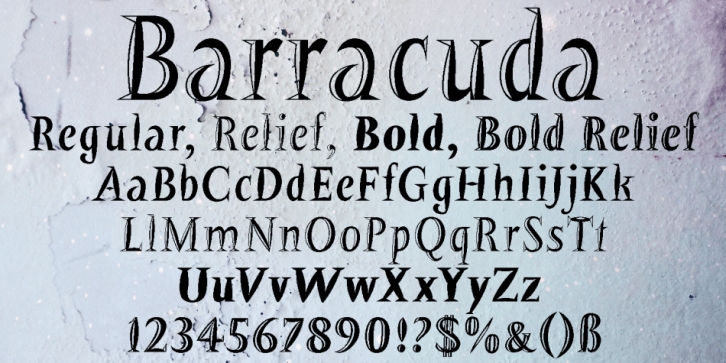 Barracuda font preview