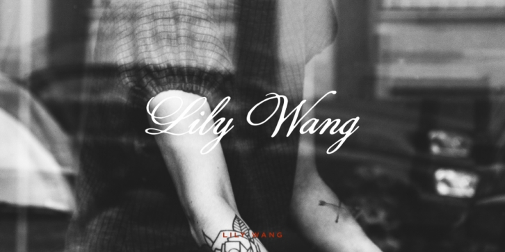 Lily Wang font preview