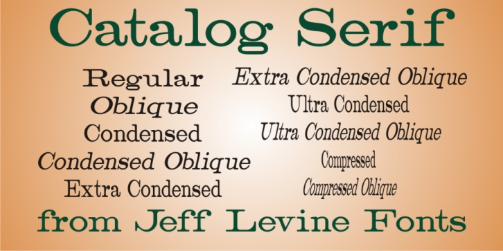 Catalog Serif JNL font preview