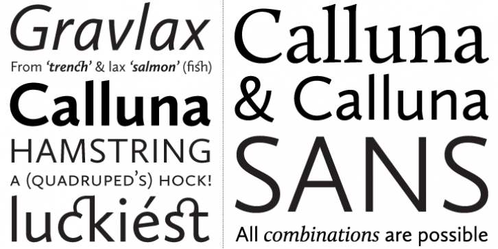 Calluna Sans font preview