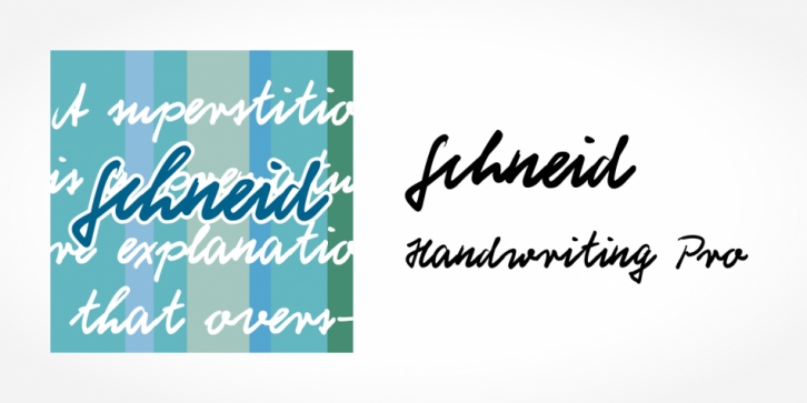 Schneid Handwriting Pro font preview