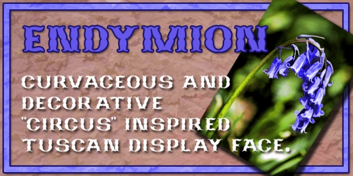 Endymion font preview