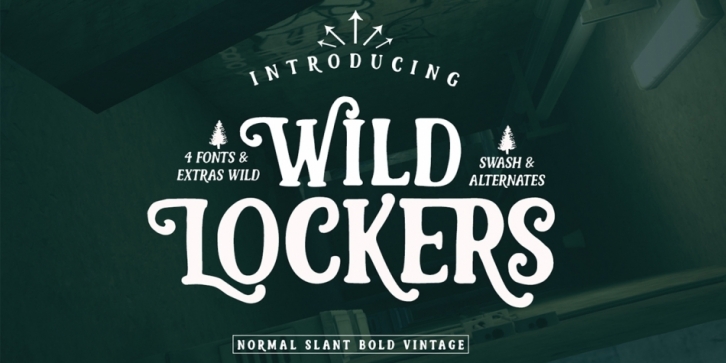 Wild Lockers font preview
