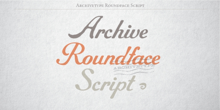 Archive Roundface Script font preview