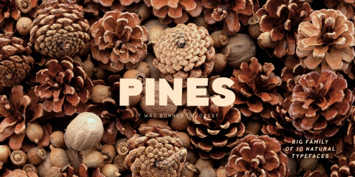 Pines font preview