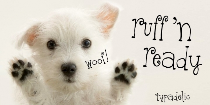 Ruff N Ready font preview