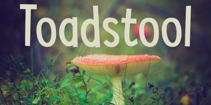 Toadstool font preview