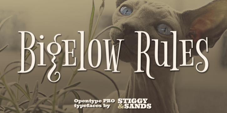 Bigelow Rules Pro font preview